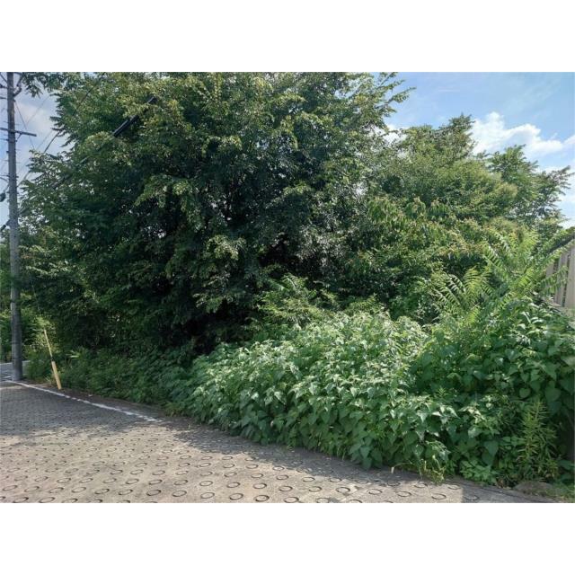 北東から撮影