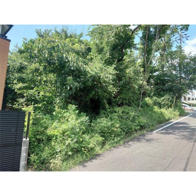南西から撮影