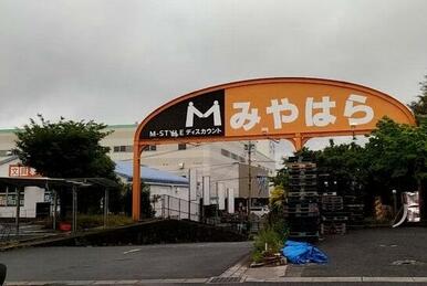 みやはら東バイパス店