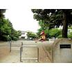 公園