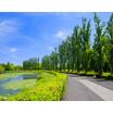 公園