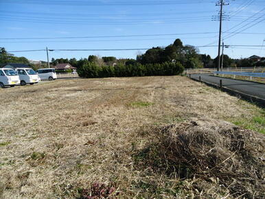 西側からの外観。平坦な整形地。