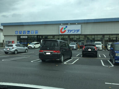 カワチ薬品大利根店