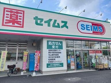 セイムス高崎片岡町店