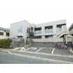 幼稚園、保育園
