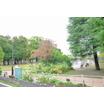 公園