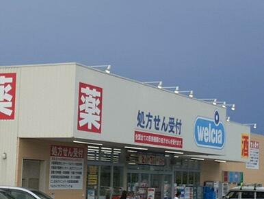 ウエルシア狭山池之原店様