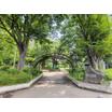 公園