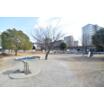 公園