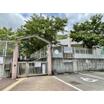 幼稚園、保育園