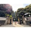 公園
