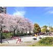 公園