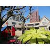 幼稚園、保育園