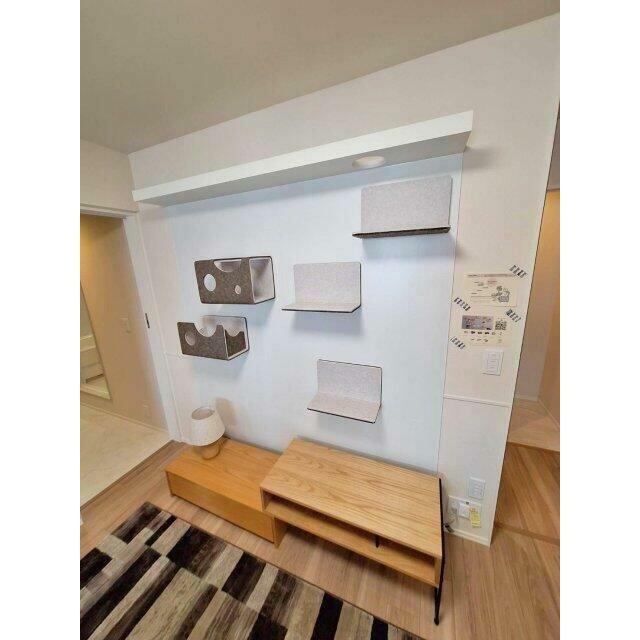 ※前回募集時のお写真です。