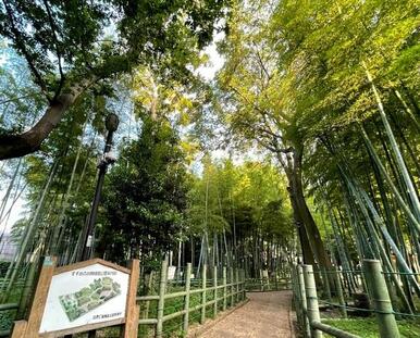 すずめのお宿緑地公園