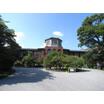 大学