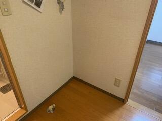 ※別部屋参考写真です。