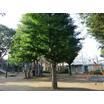 公園