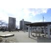 公園