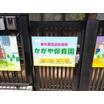幼稚園、保育園