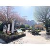 公園