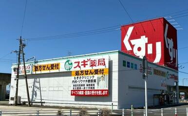 スギ薬局愛西藤浪店