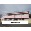 幼稚園、保育園