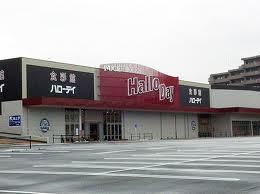 ハローデイ共立大前店