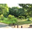公園