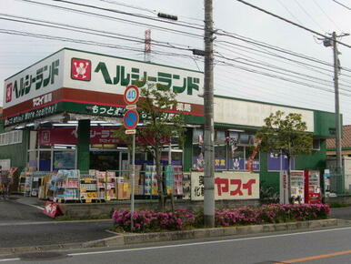 ヘルシーランドヤスイ薬局