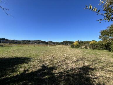 入り口から撮影した宅地部分の全景写真です。