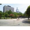 公園