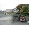 中学校