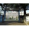 小学校