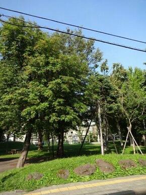 公園徒歩１分