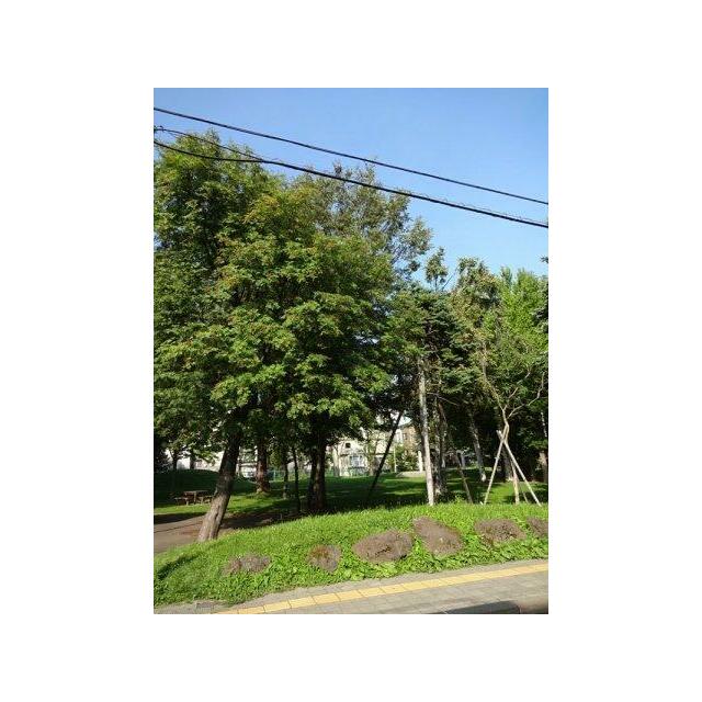 公園徒歩１分