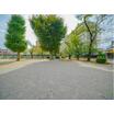 公園