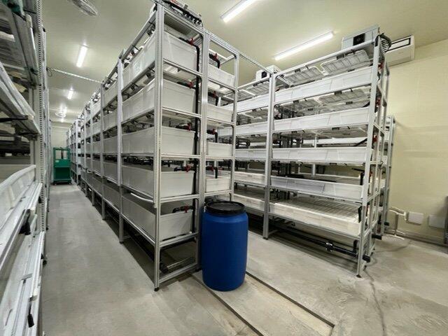 commercial 安心院町木裳