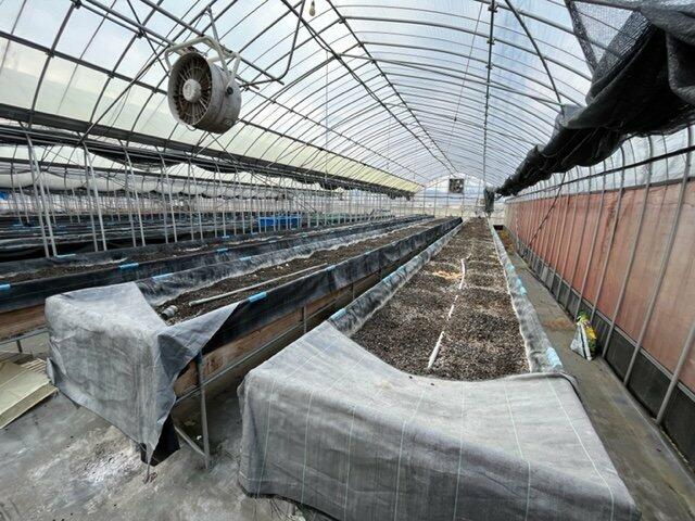 commercial 安心院町木裳