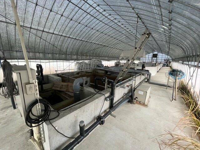 commercial 安心院町木裳