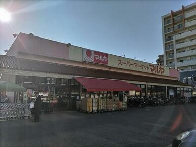 マルヤ　南流山店