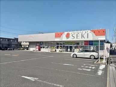 ドラッグストアセキ　南流山店