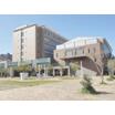大学