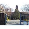 大学