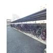 共有部分