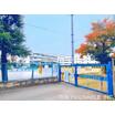 小学校