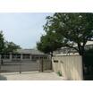 幼稚園、保育園