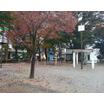 公園