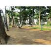 公園