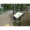 公園